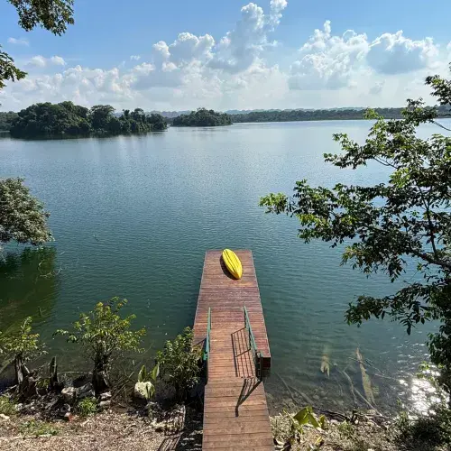 Selva Alada en Petén