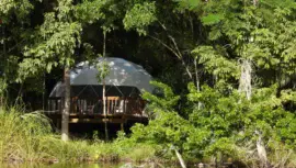 Selva Alada en Petén