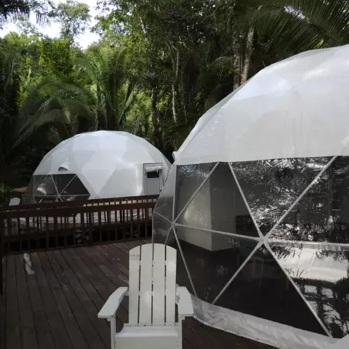 Selva Alada en Petén