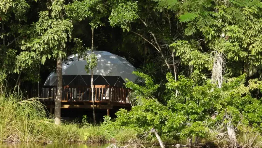 Selva Alada en Petén