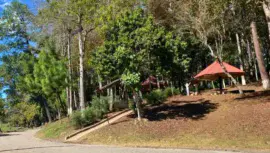 Turicentro El Petencito