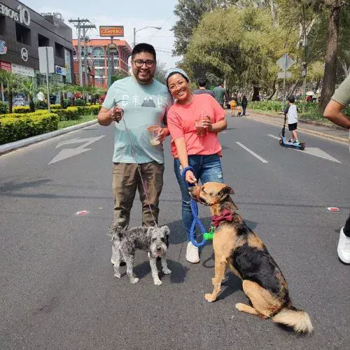 Un Festival de Verano 2026 en Pasos y Pedales