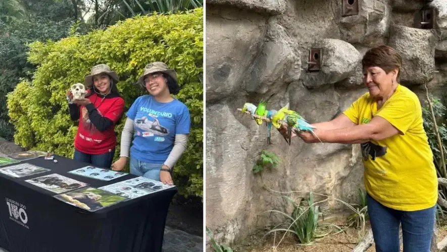Voluntariado en el Zoológico La Aurora 2026