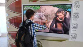 nahual maya en el Aeropuerto Internacional Mundo Maya en Petén