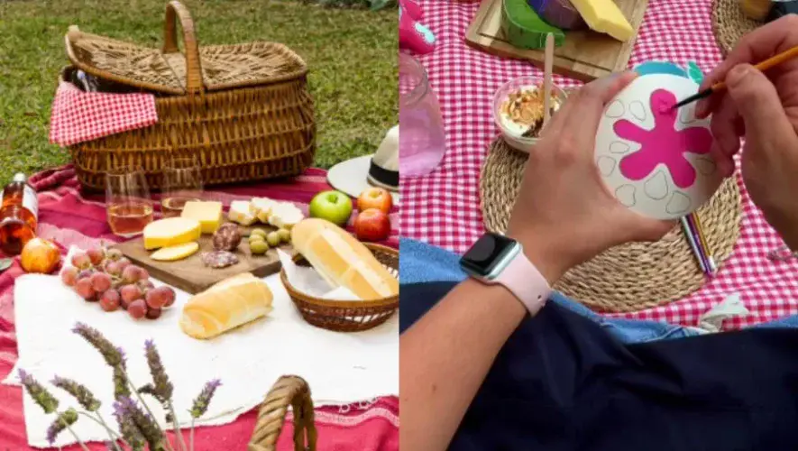 Picnic de arte 2026 en Zool&oacute;gico La Aurora