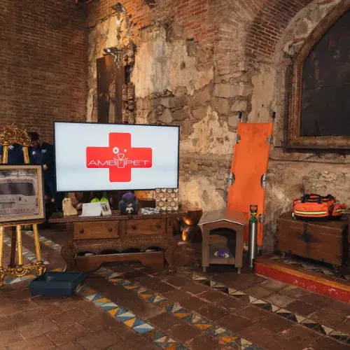 AmbuPet Guatemala