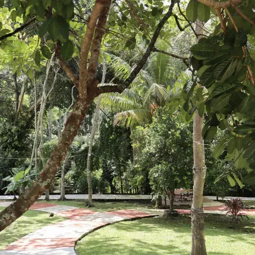Campo Alegre Hotel