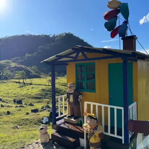 Casa de Up en Finca La Escondida