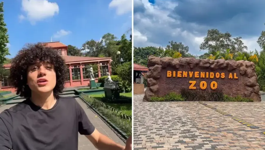 El Borrego en Zoológico La Aurora