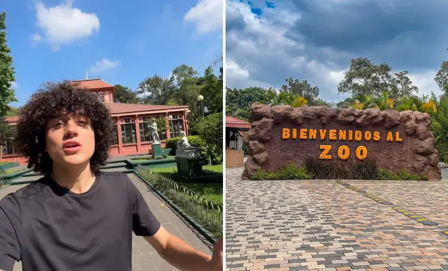 El Borrego en Zoológico La Aurora