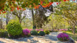 Parque Cerrito del Carmen