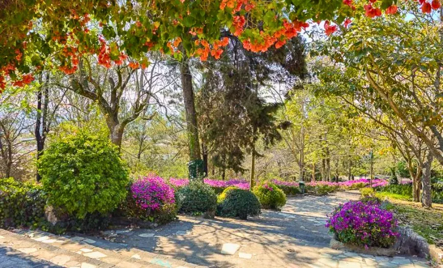 Parque Cerrito del Carmen, un lugar natural en la Ciudad de Guatemala