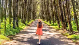 Parque Ecológico Florencia