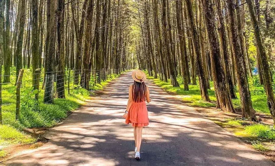 Parque Ecológico Florencia: el destino natural gigante cerca de la ciudad