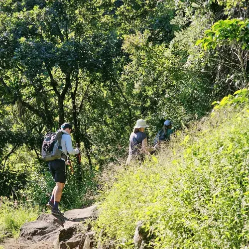 Parque Ecológico Volcán San Pedro
