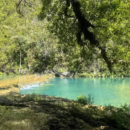 Semuc Champey guia turística