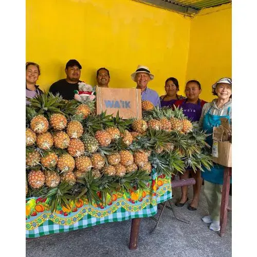 Come Mejor Wa'ik Guatemala