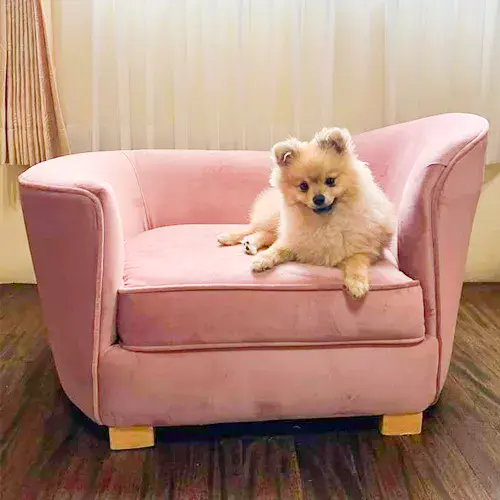 Cómo adquirir los productos de Int Deco Furniture