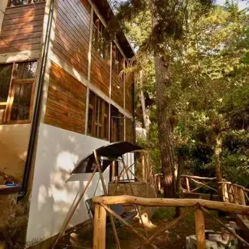 Encanto del Bosque