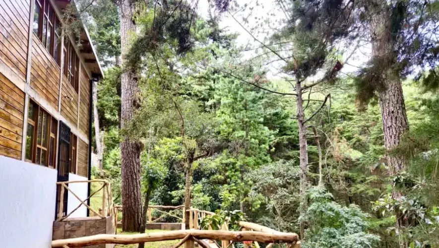 Encanto del Bosque