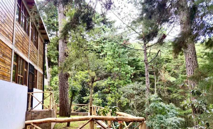 Encanto del Bosque