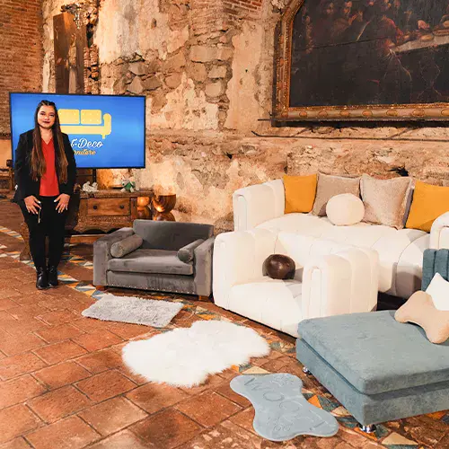 Int Deco Furniture en Shark Tank Guatemala