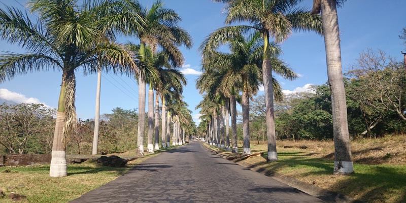 Entrada-Ingenio-San-Diego-Escuintla Entrada-Ingenio-San-Diego-Escuintla