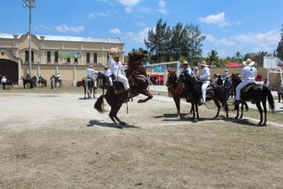 desfile hipico de san jose del golfo