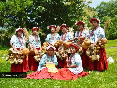 reina indigena de tucuru