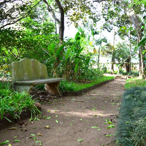 Museo de Historia Natural y Jardín Botánico de la USAC en Guatemala
