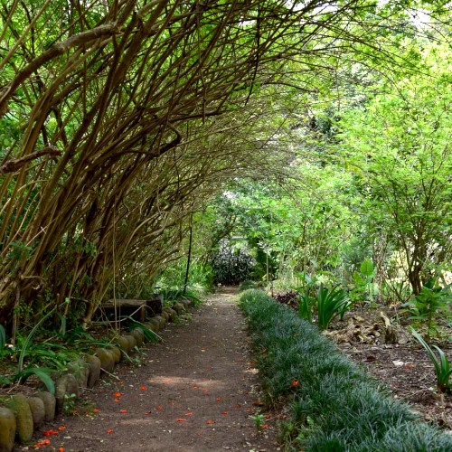 Museo de Historia Natural y Jardín Botánico de la USAC en Guatemala