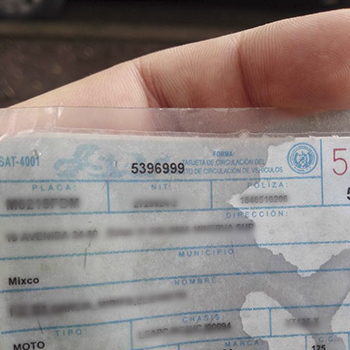 Reposición de tarjeta de circulación como persona individual