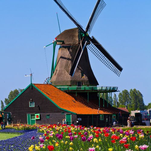 Requisitos en Guatemala para estudiar en Países Bajos