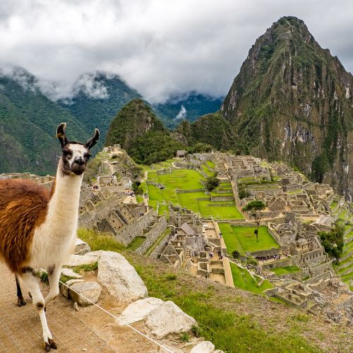 Visa peruana de negocios guatemala