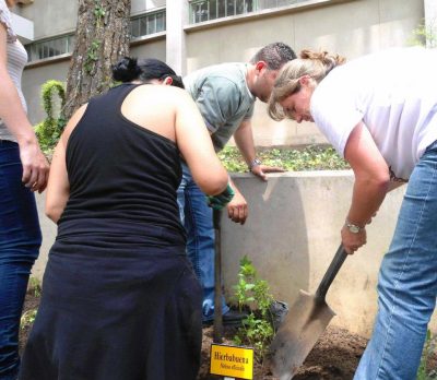 diplomado jardinizacion landivar
