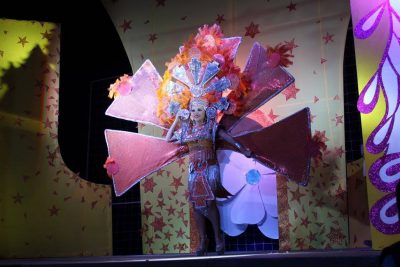 flor de la feria san jose acatempa