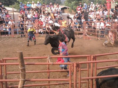 jaripeo en jerez