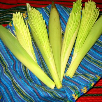 receta-pacayas-envueltas-guatemala
