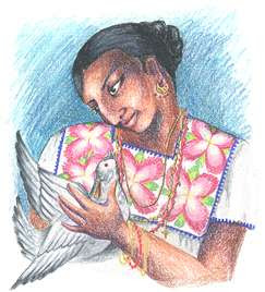 Leyenda de la Paloma Torcaz Guatemala