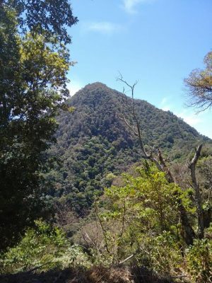 volcan-tecuamburro-guatemala-visto-desde-cerca