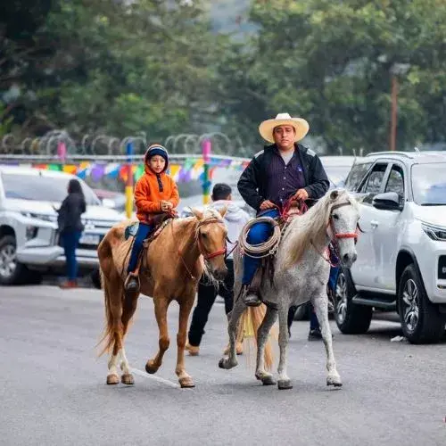 cabalgata del tío tin