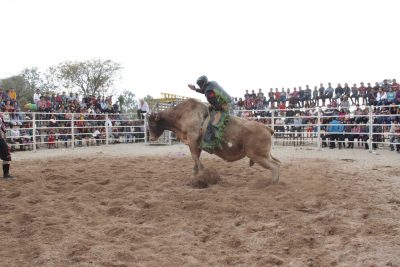 rodeo en san rafael las flores