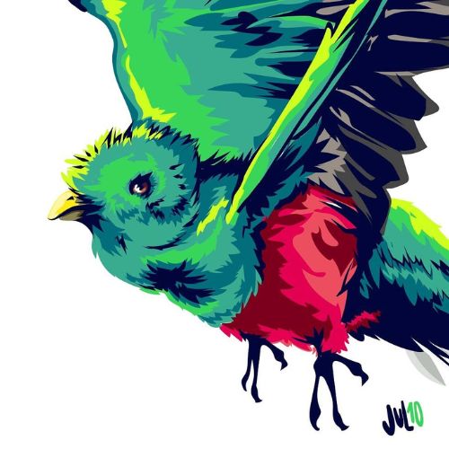 El Quetzal, Ave Nacional de Guatemala