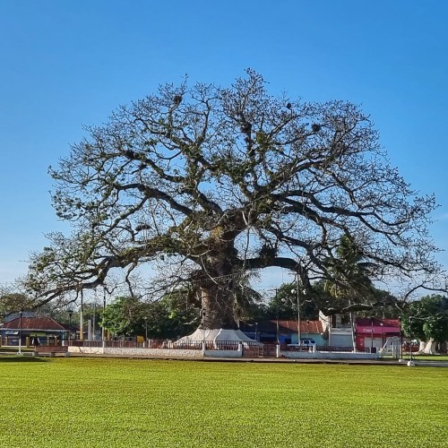 Municipio de San Francisco, Petén