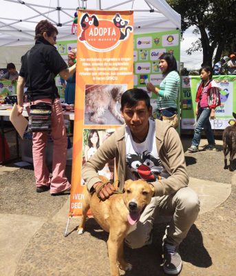 areas de accion de adopta una mascota