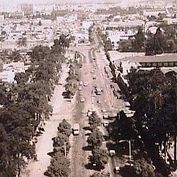 avenida reforma ciudad de guatemala
