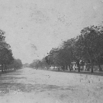 avenida simeon cañas en la antiguedad