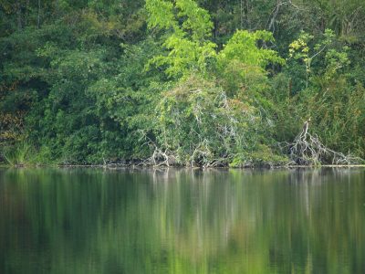 biotopo dos lagunas peten