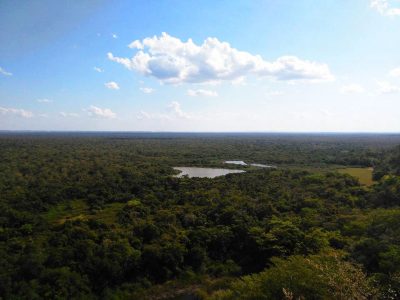 biotopo laguna del tigre