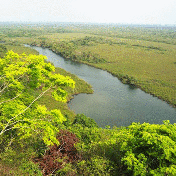 biotopo laguna del tigre peten